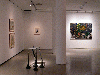 Museo Colecciones ICO (Miquel Barcelo)